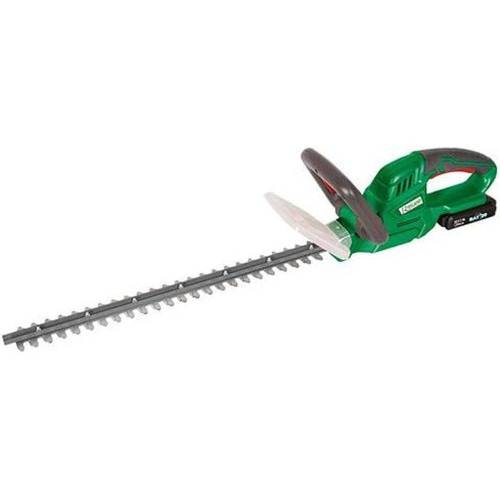 T.-Haies R-BAT20 20V - Avec Batterie 2A et Chargeur - Performance et Praticité - D-Work