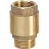 Clapet Anti-Retour 1 po - Laiton - Sortie M - Entrée F - Protection Contre les Retours de Fluide - D-Work