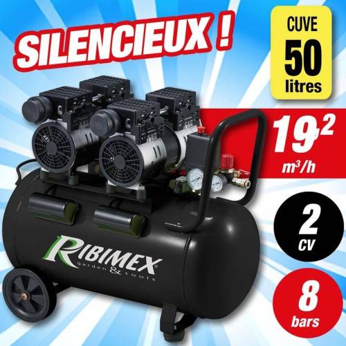 Compresseur Électrique 2 x 1CV 50L - Silencieux - Haute Performance - Idéal pour Travaux de Bricolage - D-Work