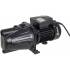 Pompe de Surface 1000W - Corps Long - Performance Élevée - Idéale pour Irrigation - D-Work