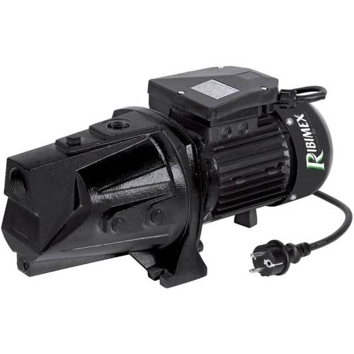 Pompe de Surface 1800W - Corps Long - Débit 100 L/min - Performance Élevée et Fiabilité - D-Work