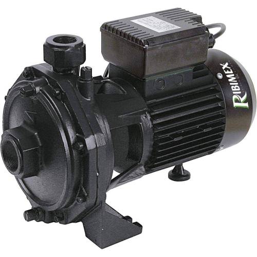 Pompe Centrifuge 2000W – 2 Turbines – Performance Élevée et Fiabilité – RIBIMEX - RIBIMEX