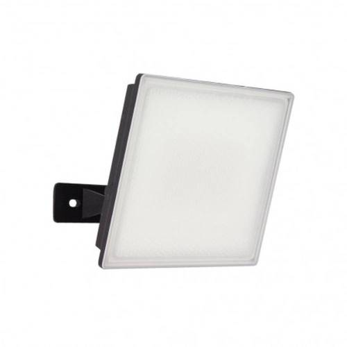 Projecteur LED 50W Mural - Éclairage Efficace et Économique - Idéal pour Extérieur - D-Work