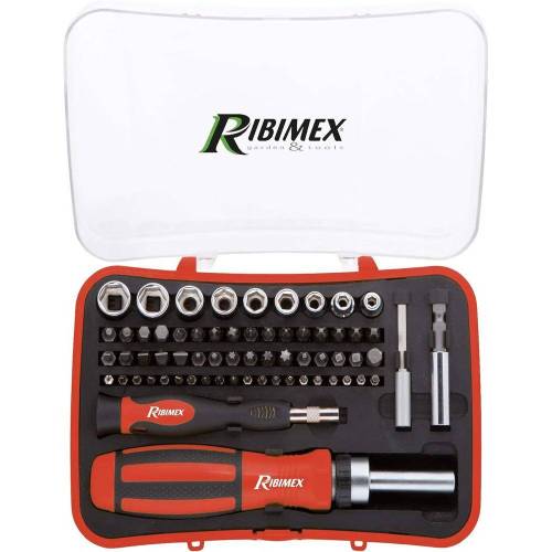 Tournevis à Cliquet et Tournevis de Précision – 2 Outils – Précision et Polyvalence – RIBIMEX - RIBIMEX