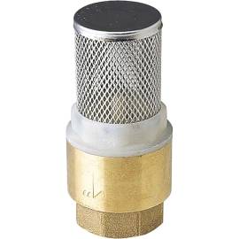 Crépine Laiton 1" – Filtre Métal – Résistant et Durable - RIBIMEX