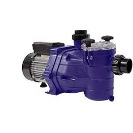 Pompe Eau PPE 0,3 CV Mono 7 m3/h - Entrée de Gamme, Fiable et Performante - BERING