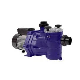 Pompe Eau PPE 0,56 CV Monophasé 13 m3/h - Entrée de Gamme - Fiable et Performante - D-Work