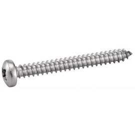 100 Vis à tôle tête cylindrique large 4,8x100 mm - Inox A2, norme DIN 7981 - Résistantes et durables - ACTON