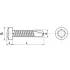 250 Vis autoperceuses tête cylindrique 5,5x70 mm - Acier zingué, norme DIN 7504 M - Fixation rapide et résistante - ACTON