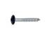 100 Vis de façade tête cylindrique extra large 4,8x38 mm - Inox A2 - Six lobes - ACTON