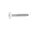 100 Vis de façade tête cylindrique extra large 4,8x38 mm - Inox A2, six lobes - Résistantes et durables - ACTON