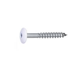 100 Vis de façade tête cylindrique extra large 4,8x38 mm - Inox A2, six lobes - Résistantes et durables - ACTON