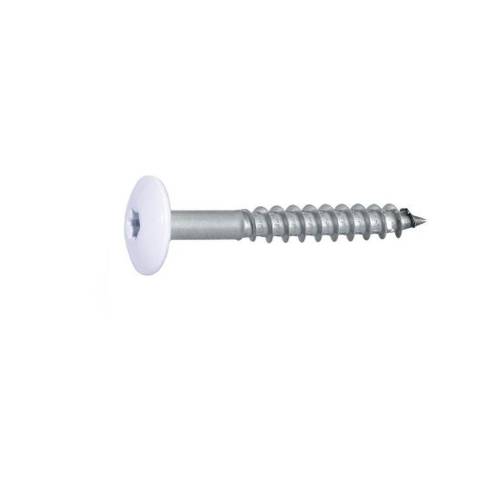 100 Vis de façade tête cylindrique extra large 4,8x38 mm - Inox A2, six lobes - Résistantes et durables - ACTON
