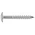 100 Vis de façade tête cylindrique extra large 4,8x38 mm - Inox A2 - Six lobes - ACTON