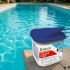 Chlore Choc Astral 1 kg 20G - Low Boric 0,3% - Traitement Rapide et Efficace Piscine - ASTRALPOOL