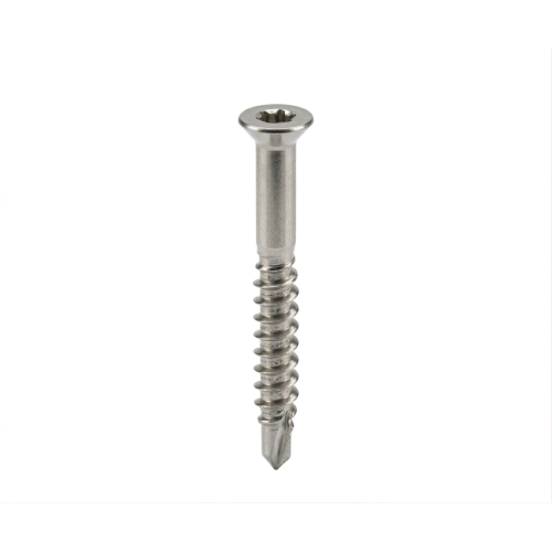 500 Vis pour terrasse 5x60 mm - Tête fraisée bombée six lobes - Inox A4 - Double filet - ACTON