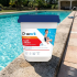 Chlore Choc Pastilles 30 g - 5 kg - 0% stabilisant - Traitement Rapide et Efficace de Piscine - D-Work