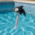 Thermomètre Générique Orque - Accessoire Piscine - Précision et Fiabilité - ASTRALPOOL