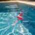 Thermomètre Flamant Rose - Accessoire Piscine - Mesure Précise et Décorative - ASTRALPOOL