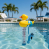 Thermomètre Canard - Accessoire Piscine - Précision et Facilité d Utilisation - ASTRALPOOL