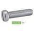 100 Vis à métaux tête cylindrique fendue 6x55 mm - Inox A2, norme DIN 84 - ACTON