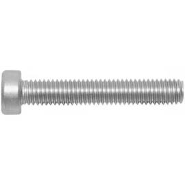 200 Vis à Métaux Tête Cylindrique Basse Six Lobes 5 x 20 mm - ISO 14580 - Inox A2 - D-Work