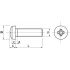 200 Vis à métaux tête cylindrique Phillips 5x16 mm - Inox A2, norme DIN 7985 - Résistantes et durables - ACTON