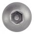 50 Vis à métaux tête bombée 10x60 mm - Inox A2, norme ISO 7380-1 - Résistantes et durables - ACTON