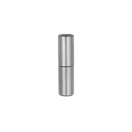 Charnière À Souder Zask 20/31 - 20X84X31 mm - D-Work