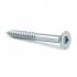 100 Vis De Construction À Tête Fraisée Cs 40080 - 4X80 mm T20 Zingué Blanc - D-Work