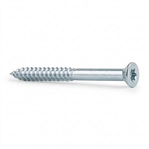 100 Vis De Construction À Tête Fraisée Cs 05100 - 5X100 mm T25 Zingué Blanc - D-Work