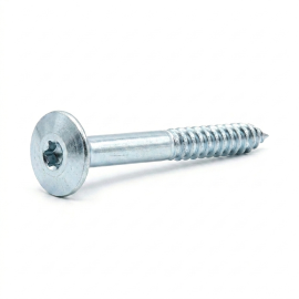 100 Vis De Construction À Tête Large Ct 05120 - 5X120 mm T25 Zingué Blanc - D-Work