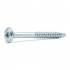 100 Vis De Construction À Tête Large Ct 06160 - 6X160 mm T30 Zingué Blanc - D-Work