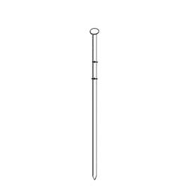 1 200 Pointes Lisses 16° (Coil) - 3.8x110 mm - D-Work