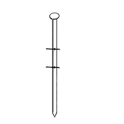 6 000 Pointes Lisses 16° (Coil) - 3.1x70 mm - D-Work