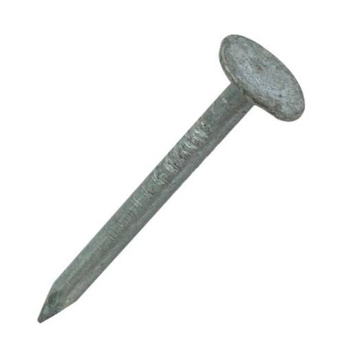 Pointe en Vrac Tête Extra Large (Tel) Lisse Galvanisée à Chaud (Hdg) - 2.8x30 mm - 1 kg - D-Work