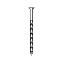 Pointe Annelée en Vrac Tête Plate (Tp) Inox A4 - 31/34x70 mm - 5 kg - D-Work