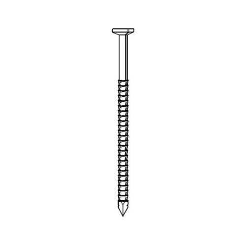 Pointe Annelée en Vrac Tête Plate (Tp) Inox A4 - 31/34x70 mm - 5 kg - D-Work