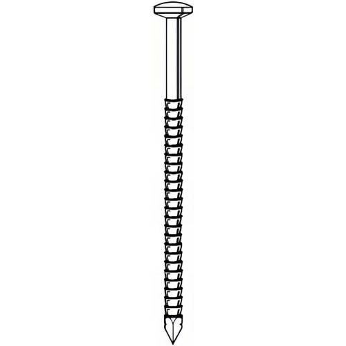 Pointe Annelée INOX A4 31/34 x 80 mm – Tête Bombée, 1 kg – Résistante et Durable - ALSAFIX