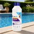 Nettoyant et Détartrant Ligne d Eau 1L - Élimine Graisse et Saletés - Efficace et Pratique - ASTRALPOOL