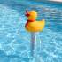 Thermomètre Canard - Accessoire Piscine - Précision et Facilité d Utilisation - ASTRALPOOL