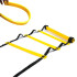 Rhythm/speed ladder 6 metres 12 adjustable sections x l. 42 cm x thickness 0.5 mm - D-Work