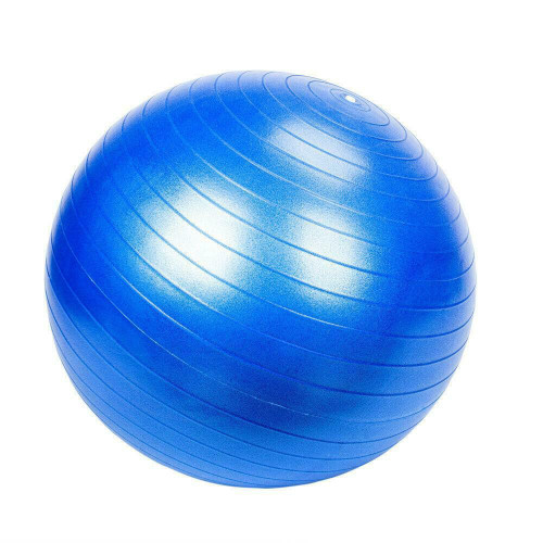 Shatter-proof gymnastic/fitness ball D. 65 cm in PVC - - France D-Work